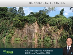 Blk 249 Bukit Batok East Avenue 5 (Bukit Batok), HDB 4 Rooms #189757722